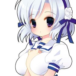 ws6.jpg